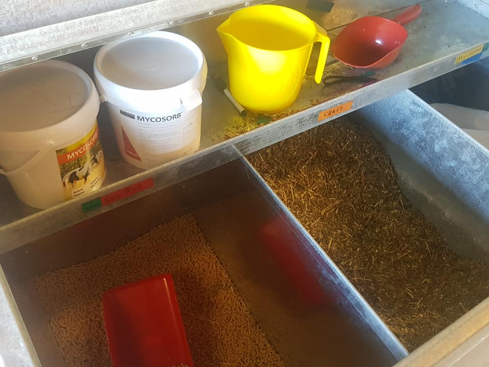 Dry Feed storage Bins