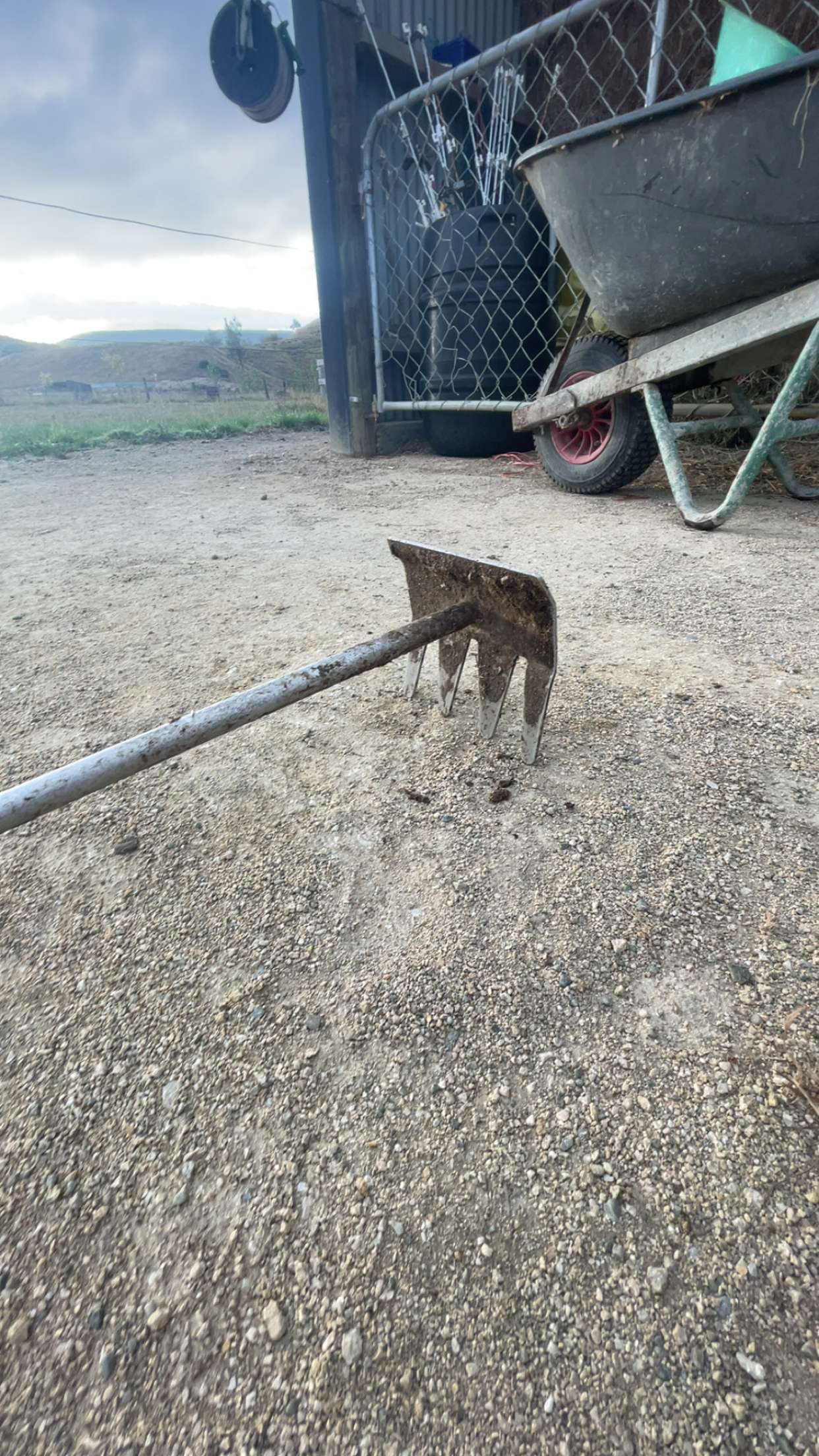 Horse Poo Rake